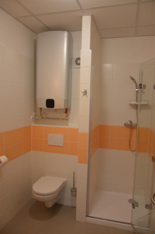 Penzion Havelka Apartmany Zelezna Ruda Luaran gambar